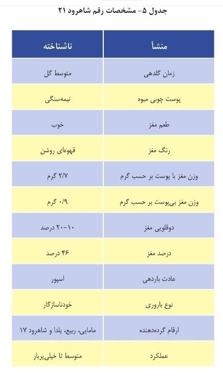 نهال بادام  شاهرودی دیم، فرانیس و تونو، سوپرنوا|خدمات باغبانی و درختکاری|شیراز, تاچارا|دیوار