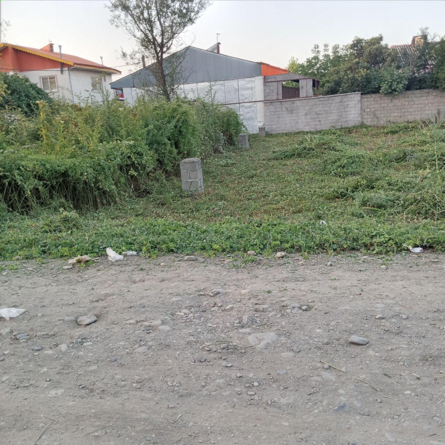 خدمات علف زنی چمن|خدمات باغبانی و درختکاری|شفت, |دیوار