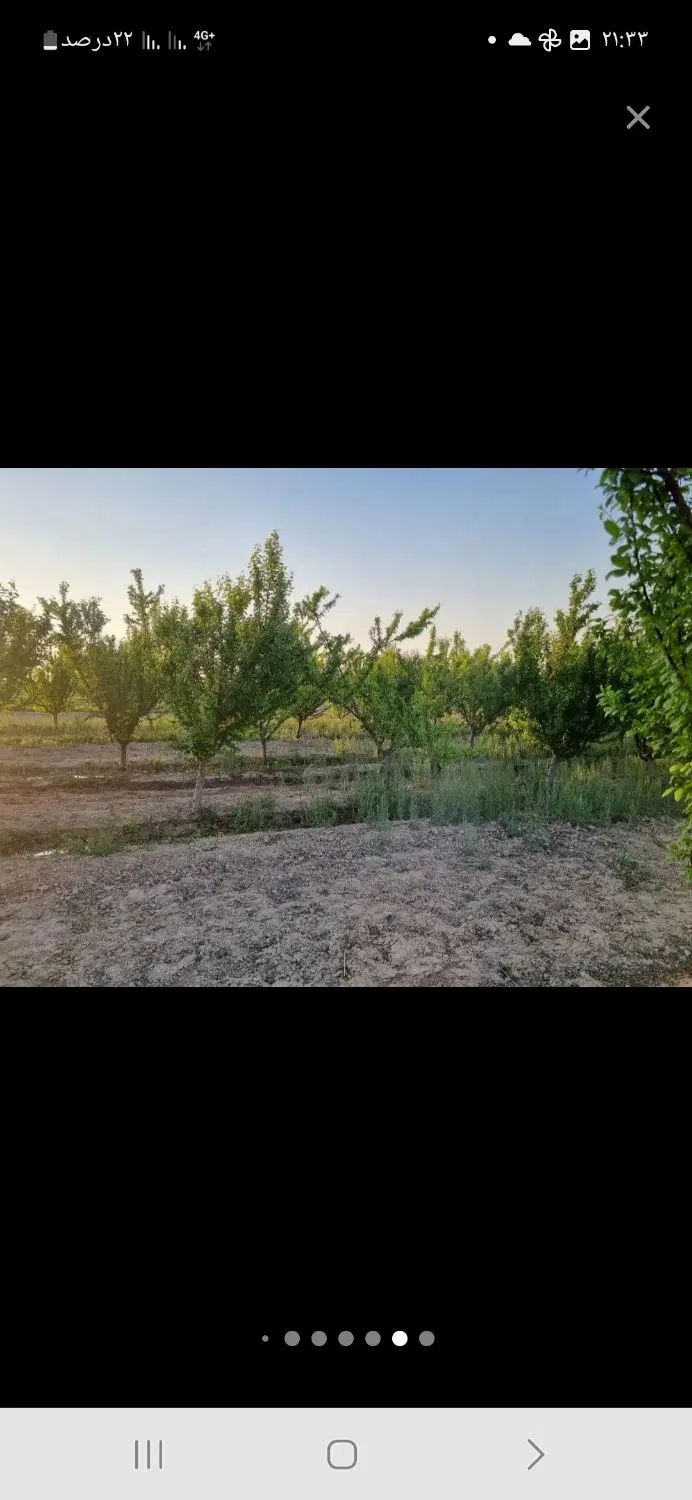 زمین باغی کشاورز ۴۰۶ متر اسلامشهر علی آباد طپانچه|فروش زمین و ملک کلنگی|تهران, تهرانسر غربی|دیوار