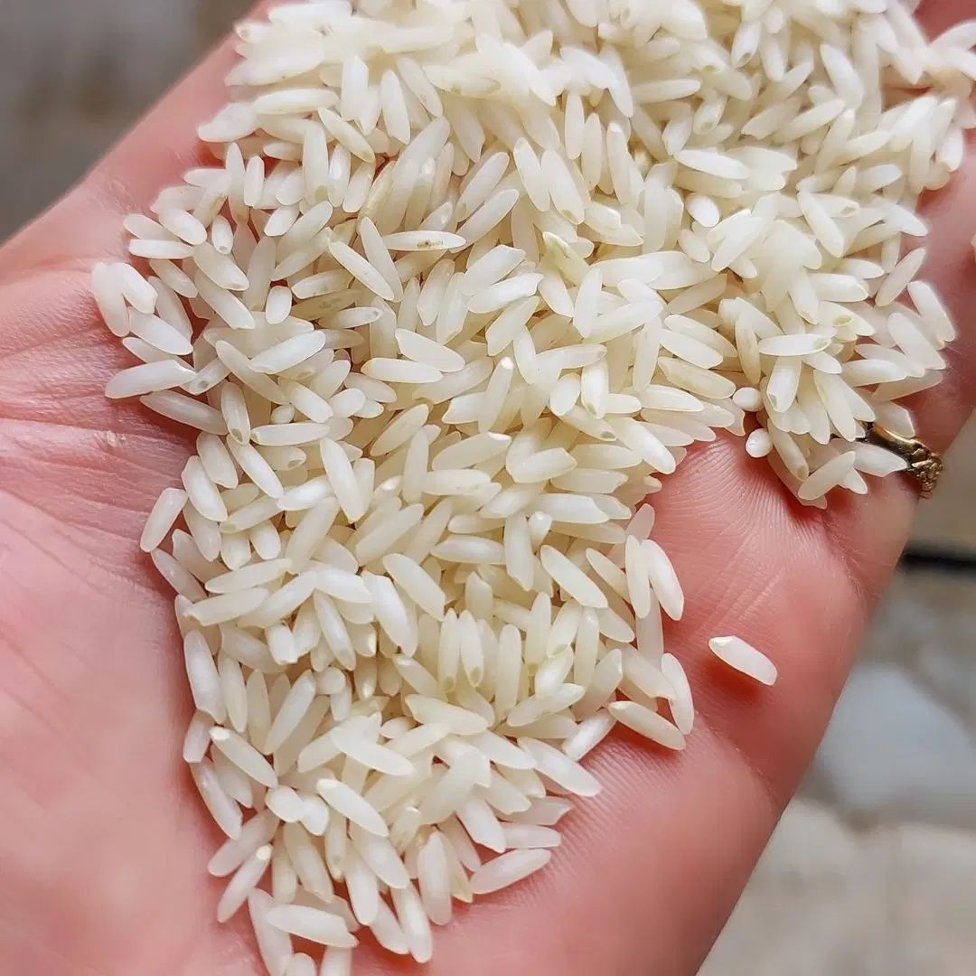 برنج طارم هاشمی اعلا فریدونکنار خرید از کشاورز|خوردنی و آشامیدنی|فریدون‌کنار, |دیوار