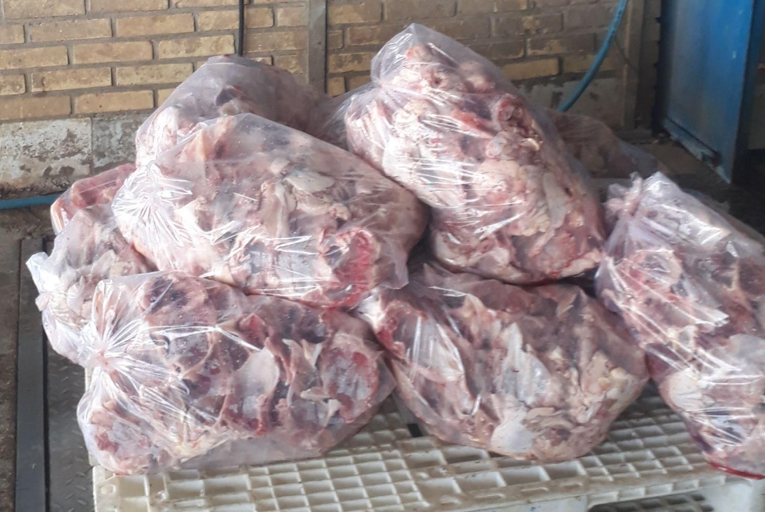 غذای حیوان،اسکلت مرغ،پا،دل،مرغ ضایعات|لوازم جانبی حیوانات|شیراز, مسلم|دیوار