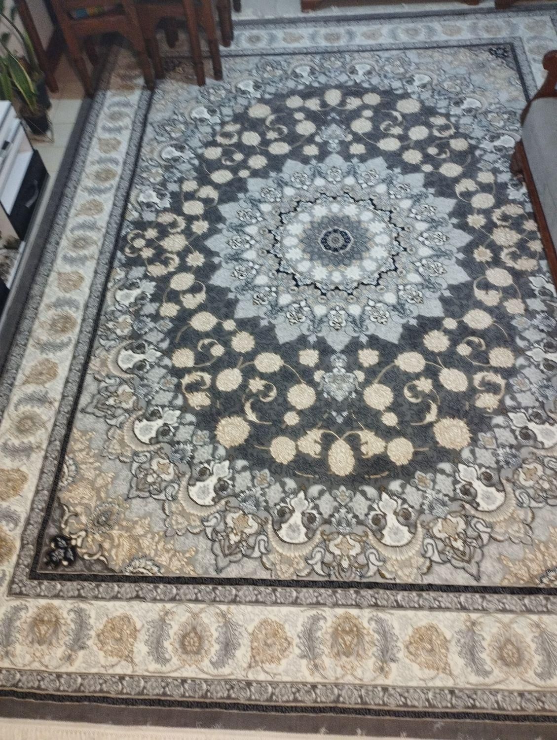 فرش ۱۲ متری نو نو|فرش|بهشهر, |دیوار