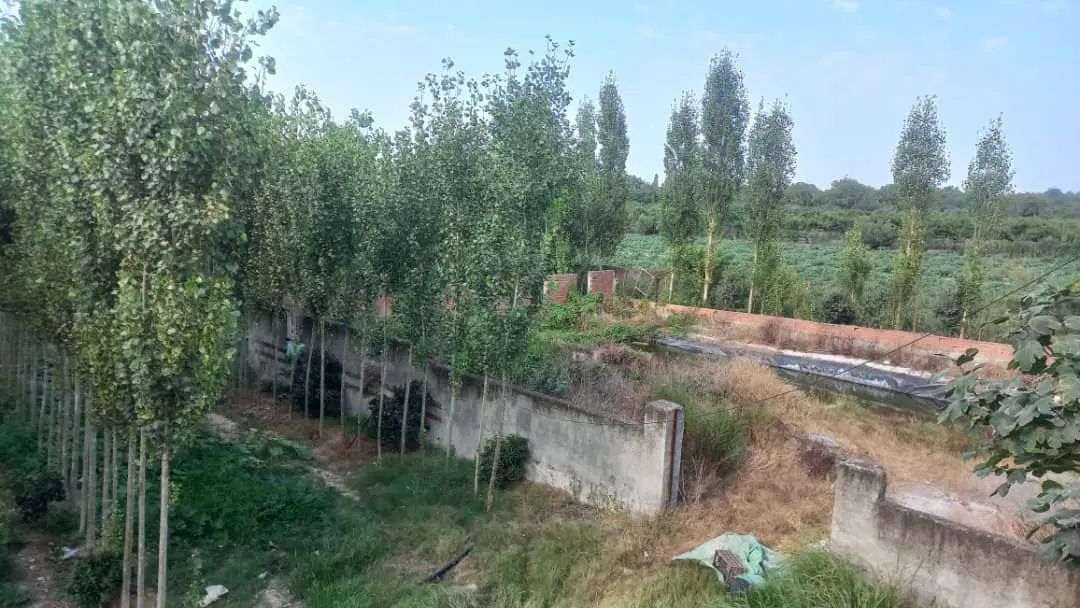 ویلا/خونه باغی/استثنایی/فروش فوری/کردکوی|فروش دفتر صنعتی، کشاورزی، تجاری|گرگان, |دیوار