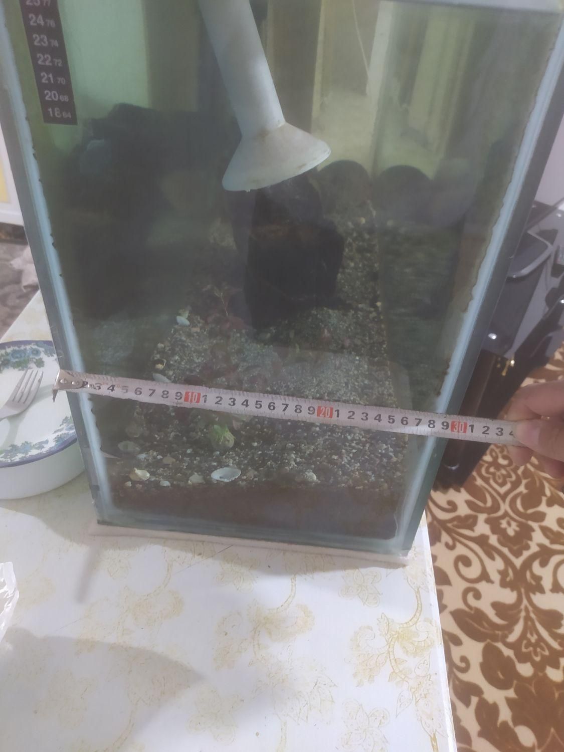 آکواریوم همراه لوازم کامل|ماهی|ملایر, |دیوار