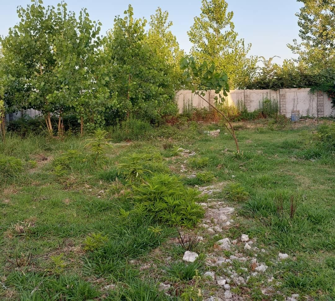 زمین مسکونی ۶۲۰ متری سند تک برگ و پروانه ساخت|فروش زمین و ملک کلنگی|رشت, گلسار|دیوار