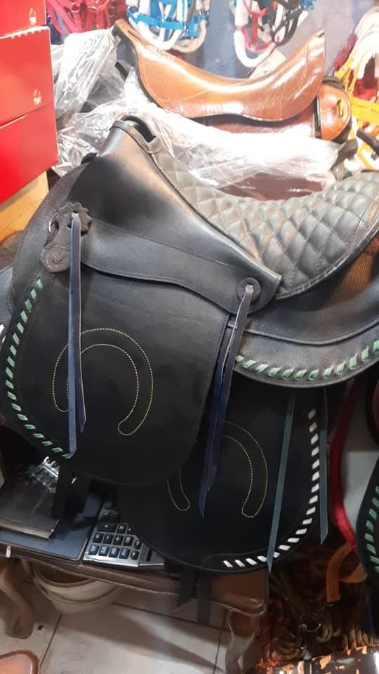 لوازم اسب و سوارکاری|اسب و تجهیزات اسبسواری|چالوس, |دیوار