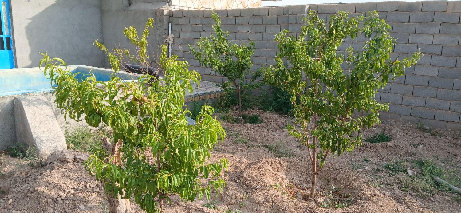 فروش باغ ویلایی ۵۰۰ متر دارای استخر خانه در نوچاه|فروش خانه و ویلا|مشهد, نوچاه|دیوار