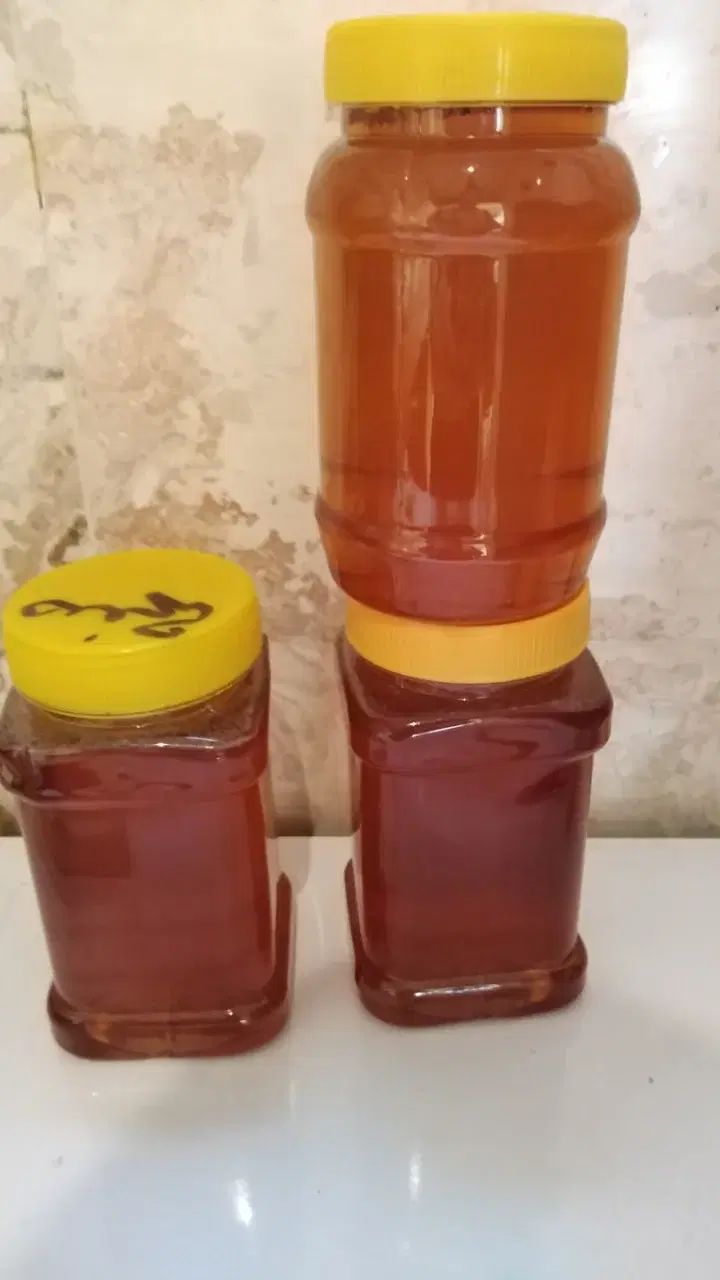 عسل کوههای گرین لرستان با گیاه گون|خوردنی و آشامیدنی|اصفهان, نقش جهان|دیوار