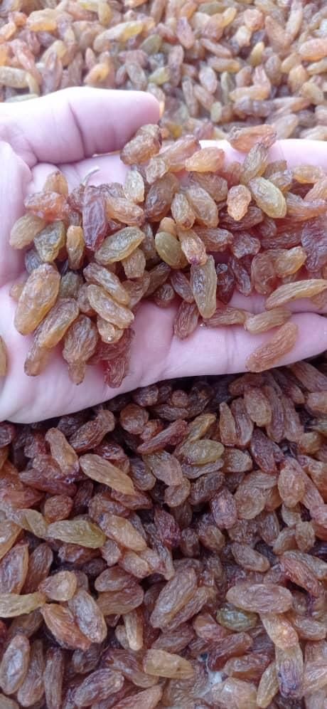 فروش کشمش خوراکی و آبگیری|خوردنی و آشامیدنی|کرمان, |دیوار