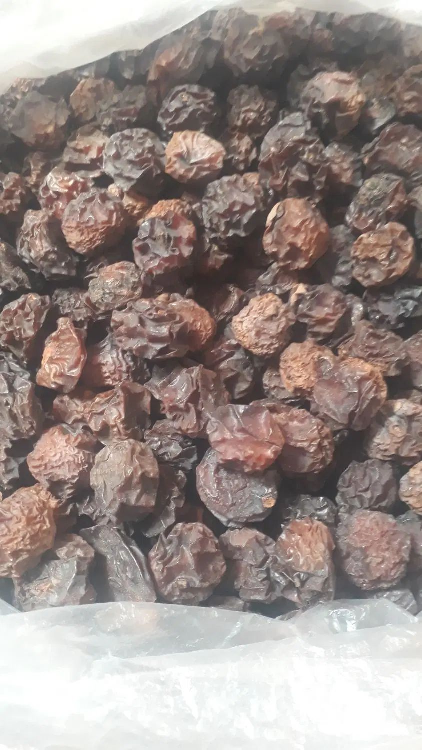 الو بخارا|خوردنی و آشامیدنی|مشهد, کوثر|دیوار