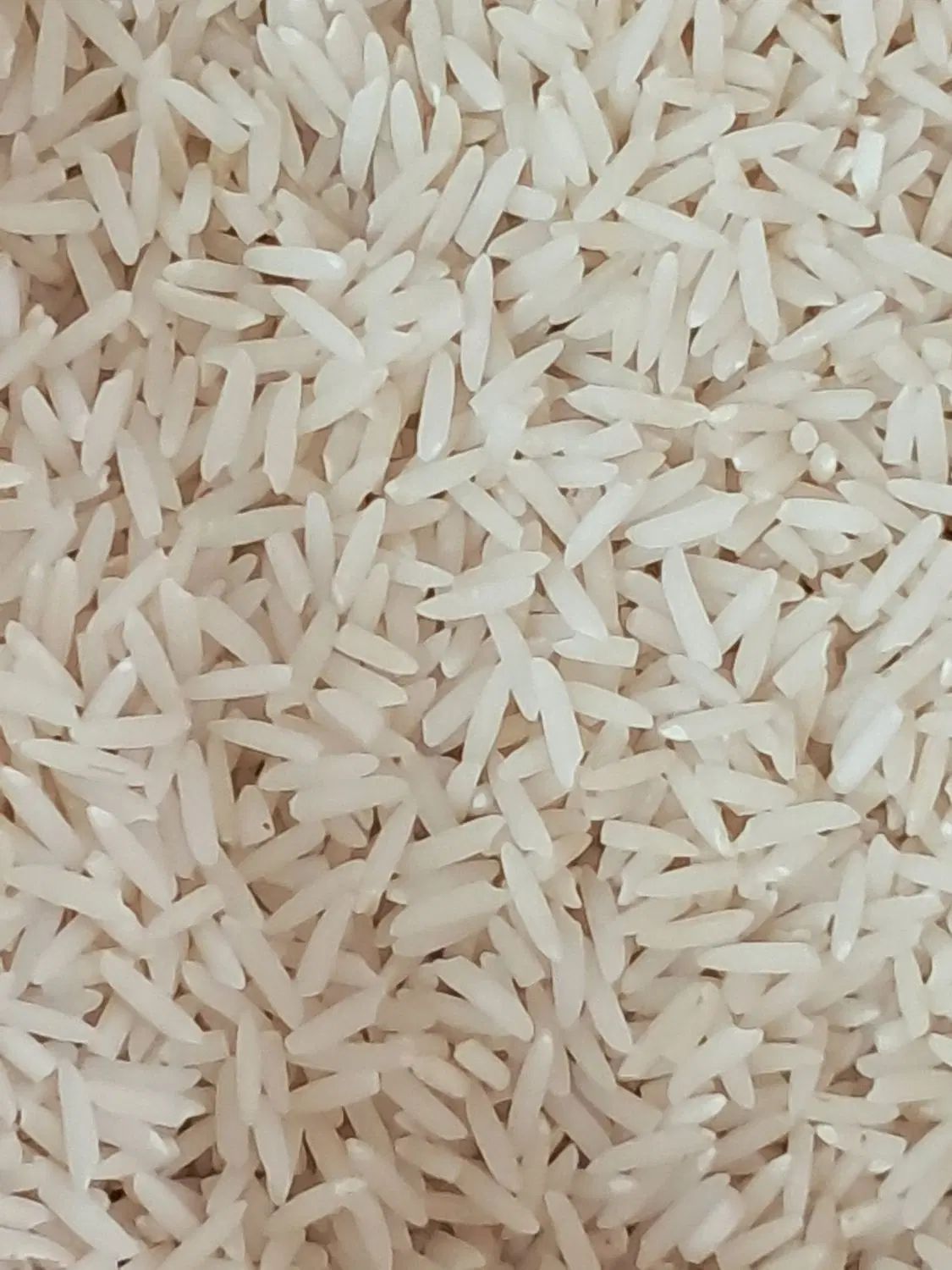 برنج هاشمی ایرانی ممتاز|خوردنی و آشامیدنی|تهران, هرندی|دیوار