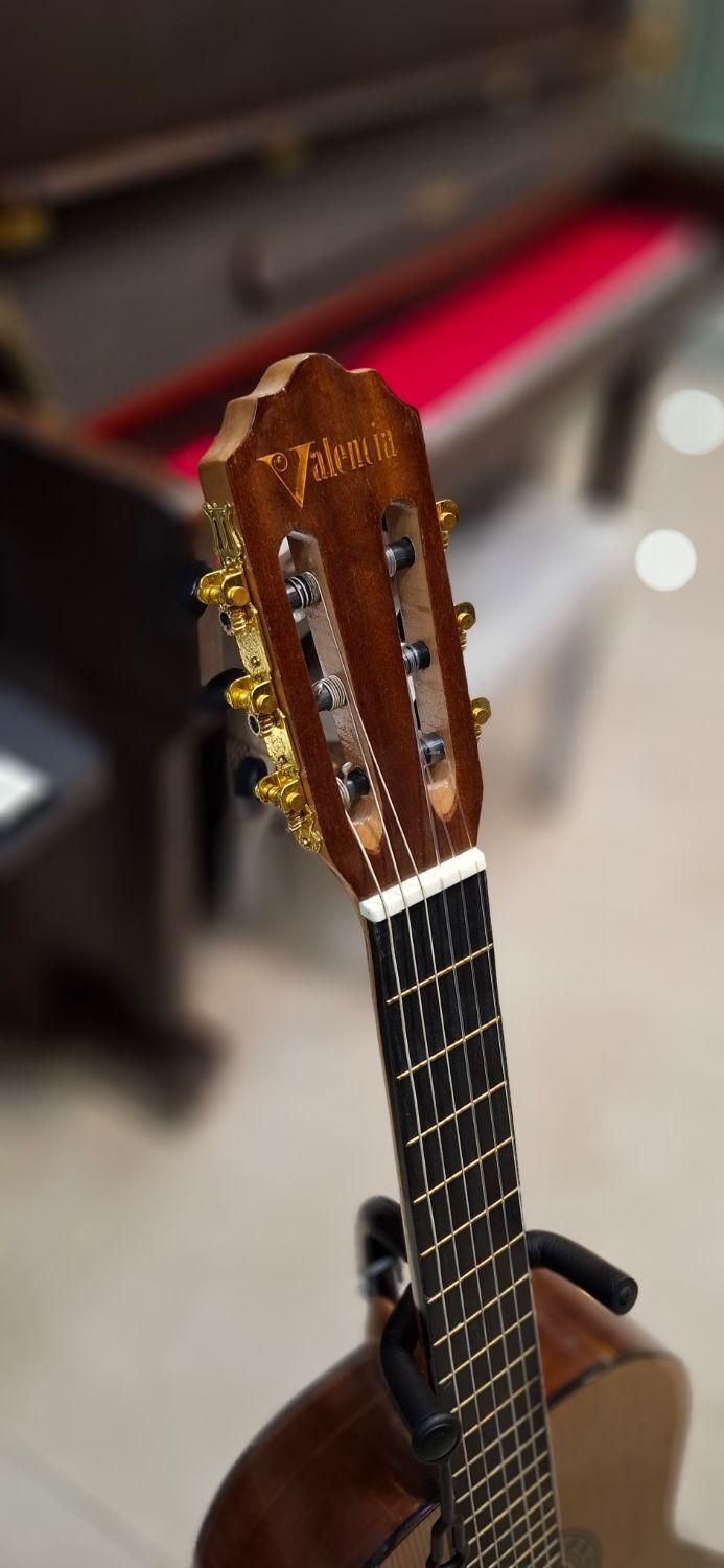 گیتار کلاسیک هافنر ( آموزشگاه موسیقی سینا )|گیتار، بیس، امپلیفایر|پردیس, فاز ۲|دیوار