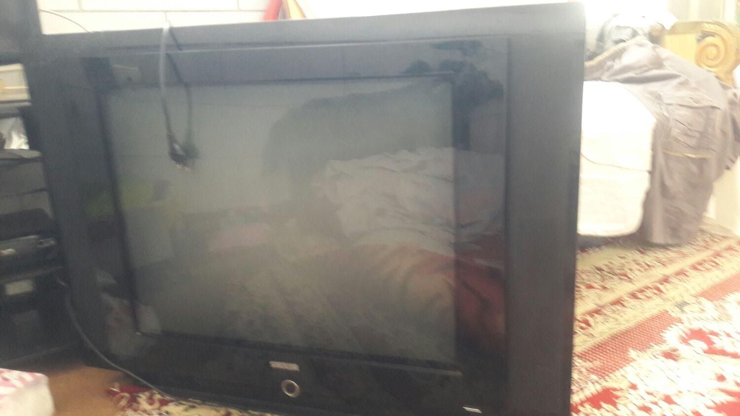 دوعدد تلویزیون یک پایه تلویزیون|تلویزیون و پروژکتور|کرمان, |دیوار