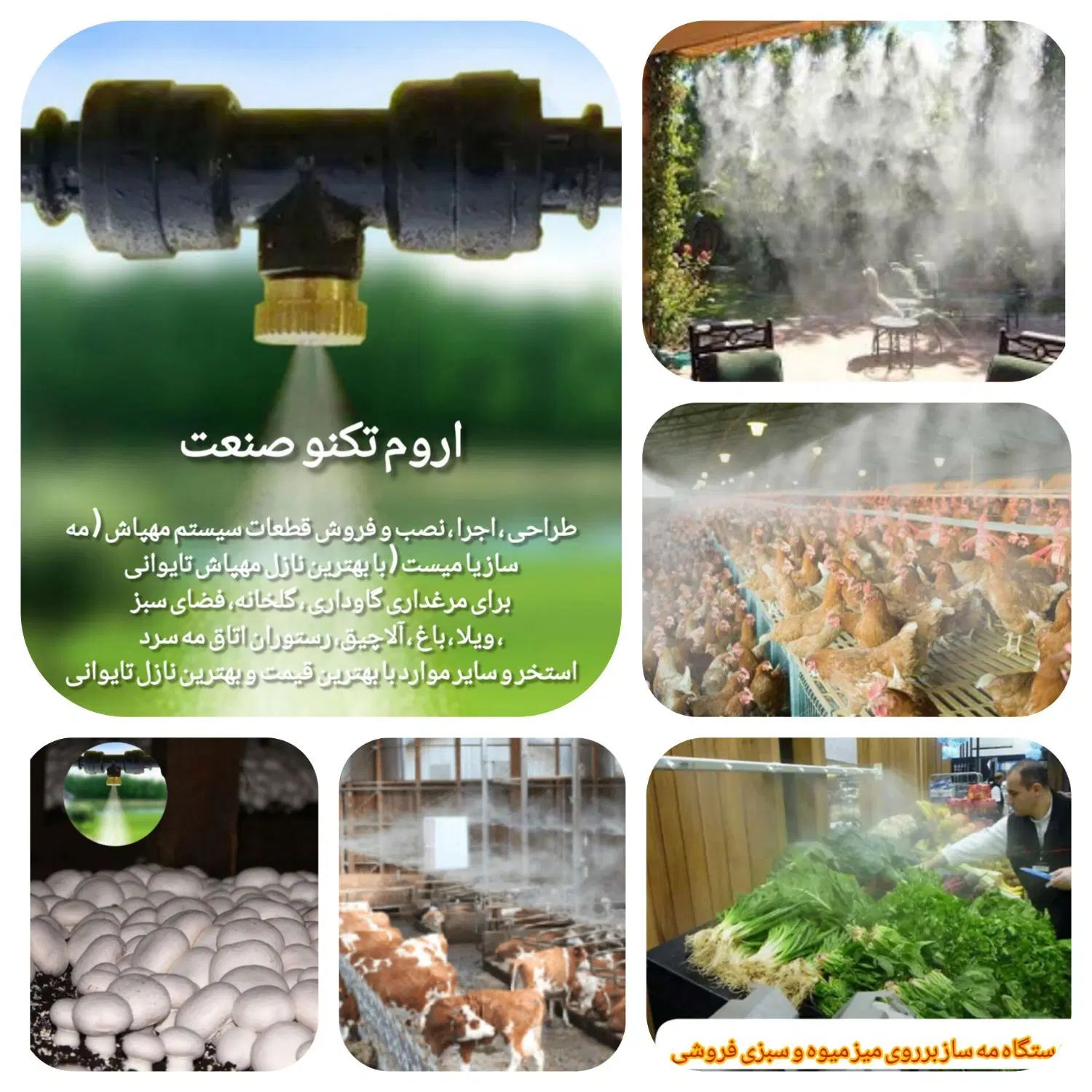 مهپاش کافه باغ/دامداری مرغداری/سبزی گلخانه/ قارچ|ماشین‌آلات صنعتی|سلماس, |دیوار
