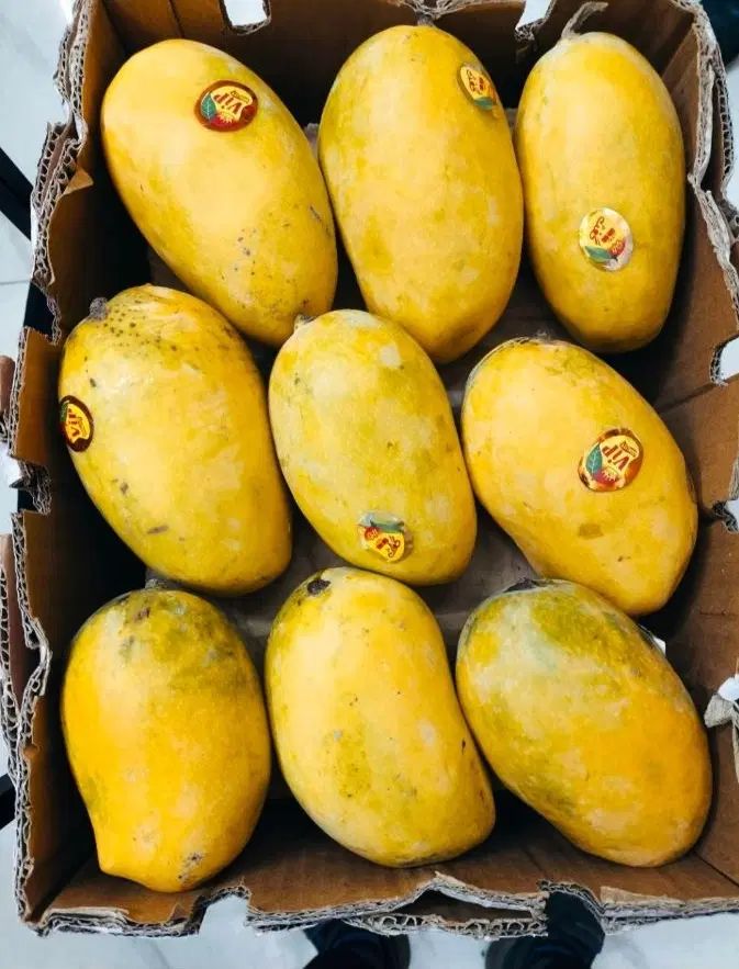 انبه درجه یک صادراتی زیر قیمت بازار|خوردنی و آشامیدنی|اصفهان, ارداجی|دیوار