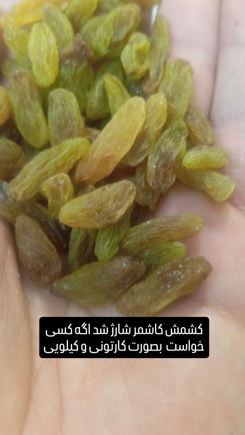 کشمش و توت خشک و غوره شور و قره قروت|خوردنی و آشامیدنی|مشهد, طلاب|دیوار