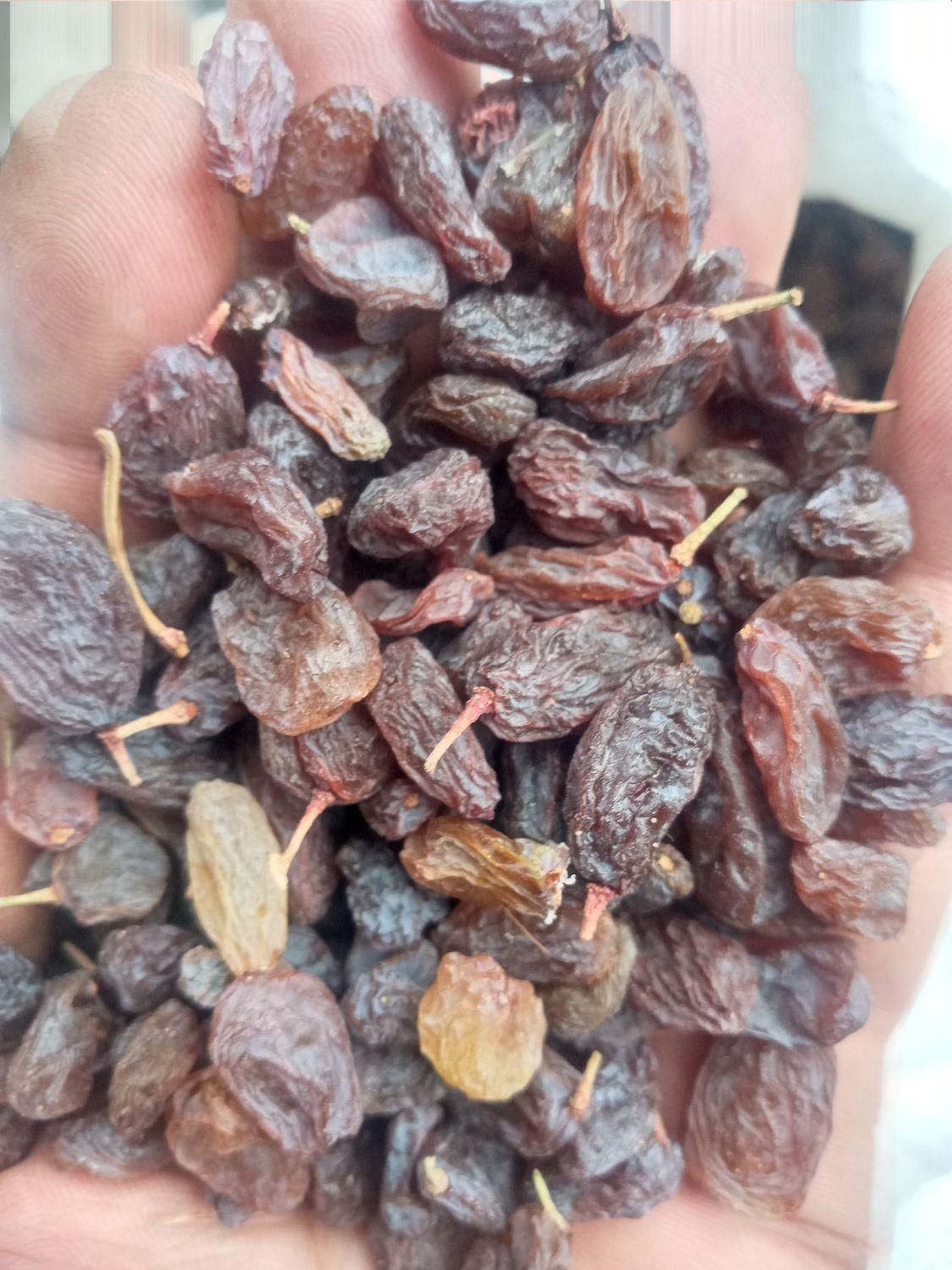 خشکبار بوانات ،،عمده و خرده .|خوردنی و آشامیدنی|شیراز, احمدی جنوبی|دیوار