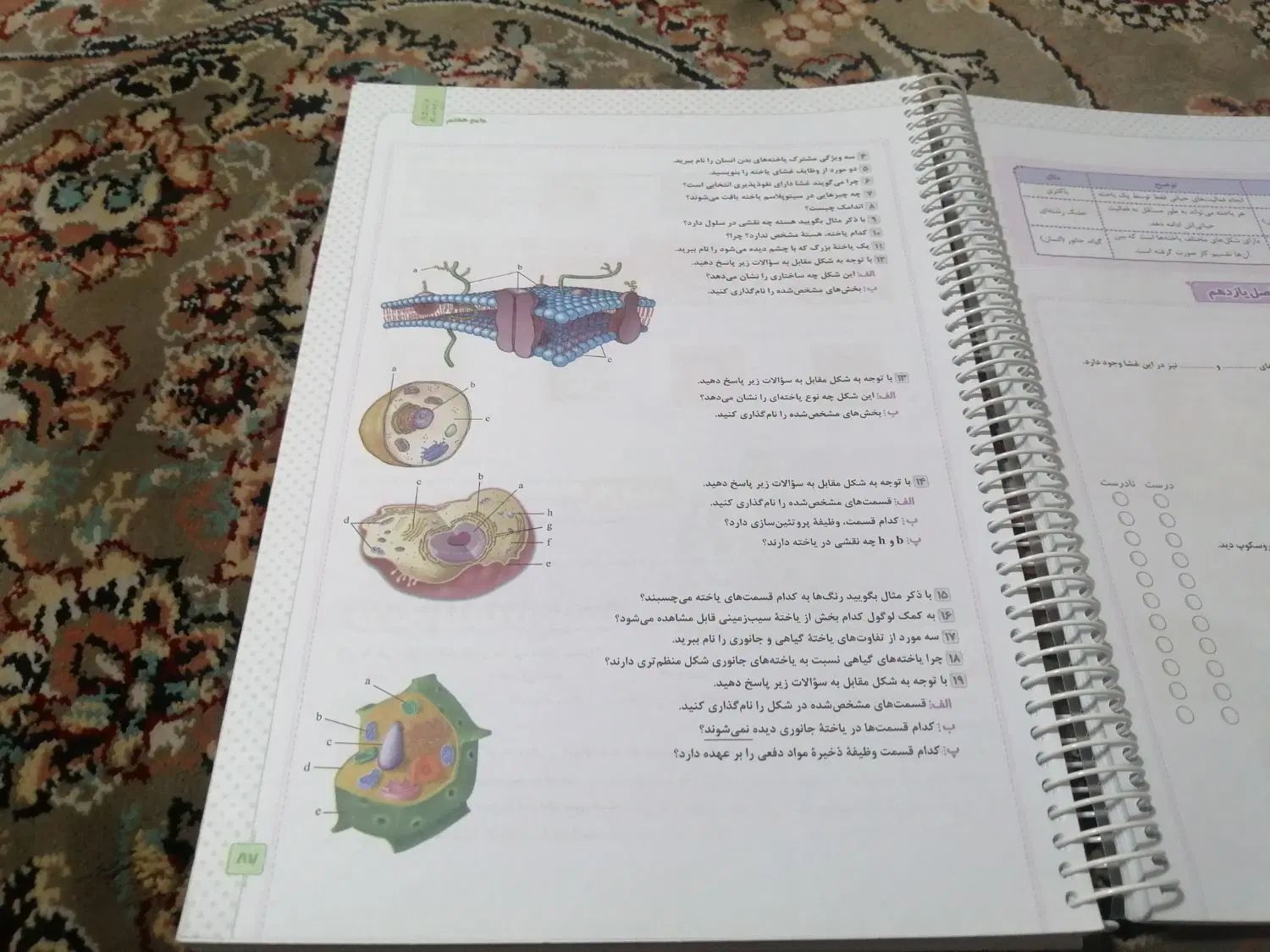 کتاب کمک درسی|کتاب و مجله آموزشی|مشهد, شهرک بهارستان|دیوار