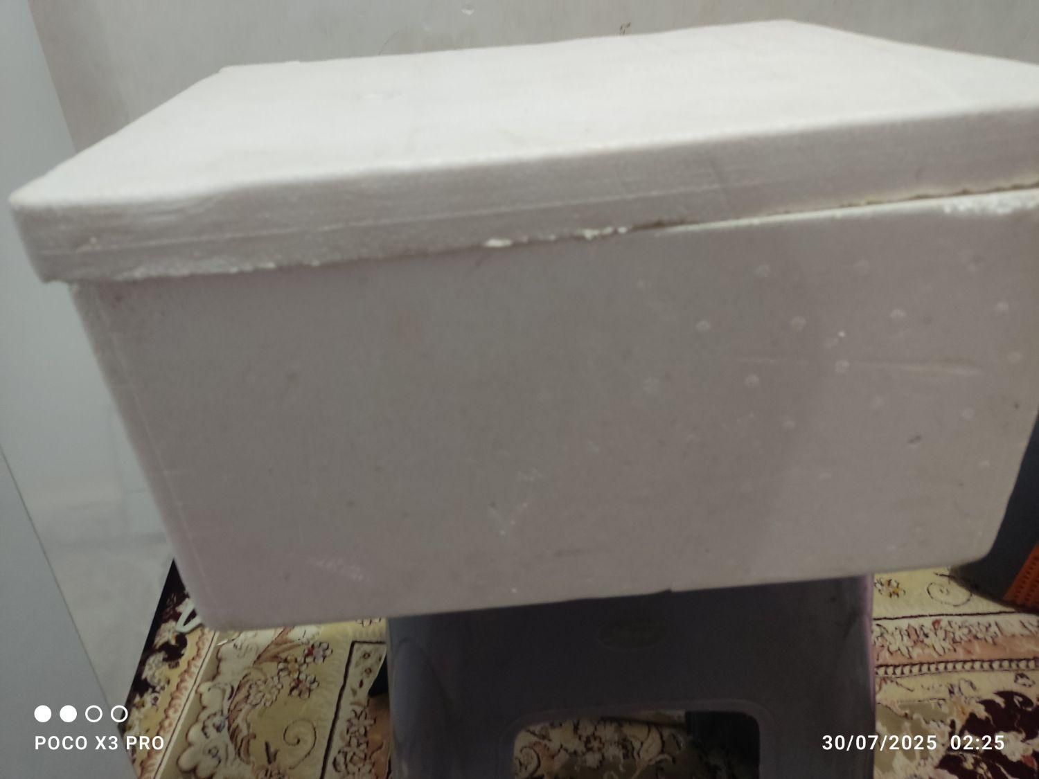 فیبر یخدان متوسط|ظروف نگهدارنده، پلاستیکی، یک‌بارمصرف|دزفول, |دیوار