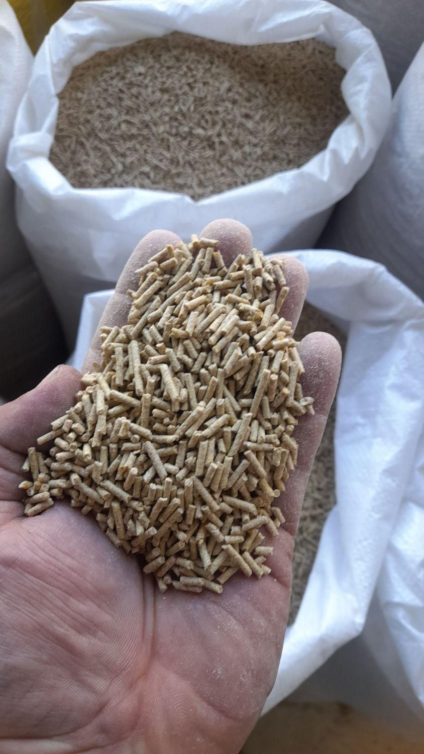 فروش مرغ زنده و انواع پرندگان دون تخمگذار دان|حیوانات مزرعه|تهران, صادقیه|دیوار