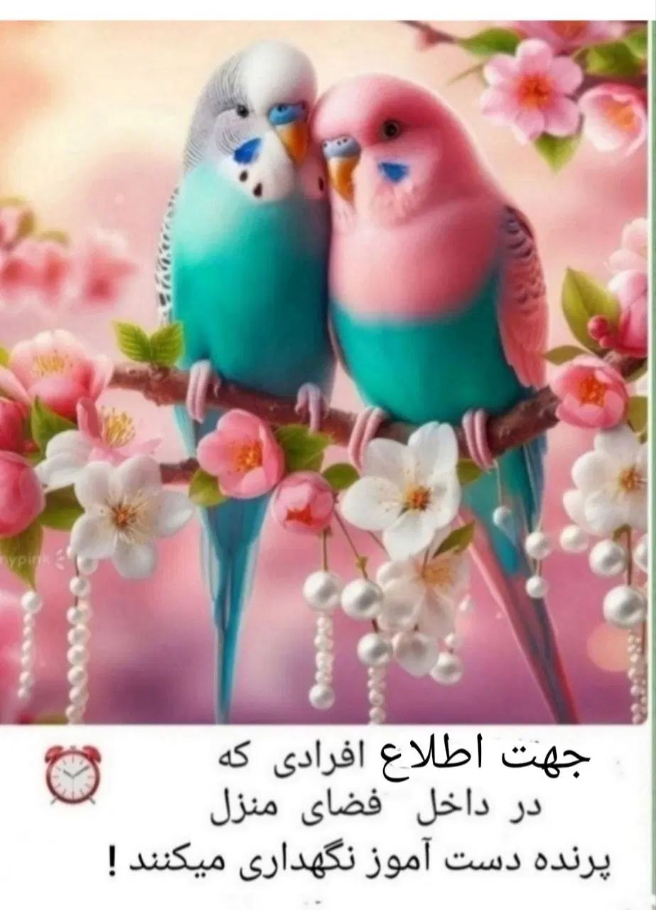 ماکت های زینتی درختچه و لانه برای داخل منزل و...|لوازم جانبی حیوانات|مشهد, سناباد|دیوار