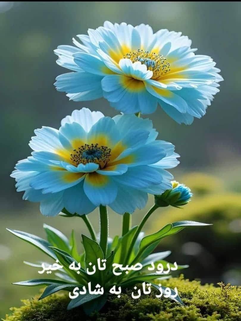 آموزش ریاضی|خدمات آموزشی|تهران, خلیج فارس|دیوار