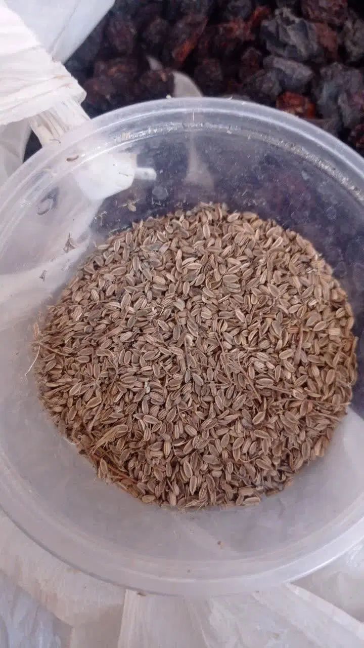 گل بنفشه خشک خالص آویشن خالص کمادون گل ختمی و...|خوردنی و آشامیدنی|کاشان, دروازه فین|دیوار