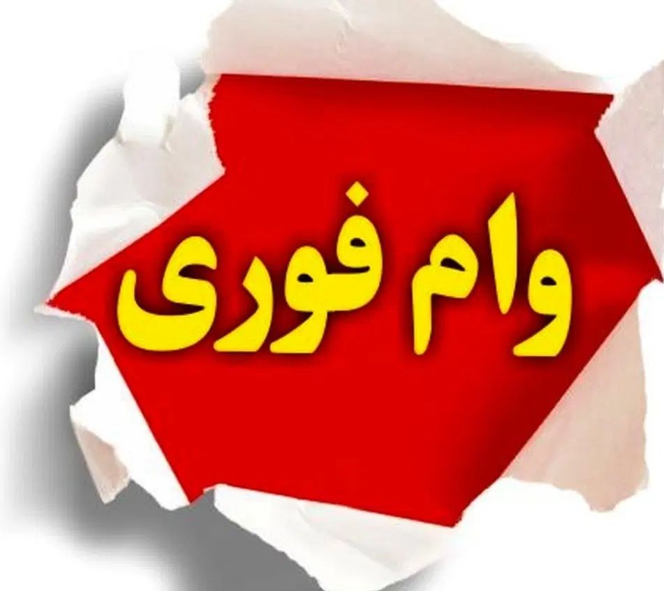 ضامن AوB|خدمات مالی، حسابداری، بیمه|تهران, فلسطین (میدان انقلاب)|دیوار