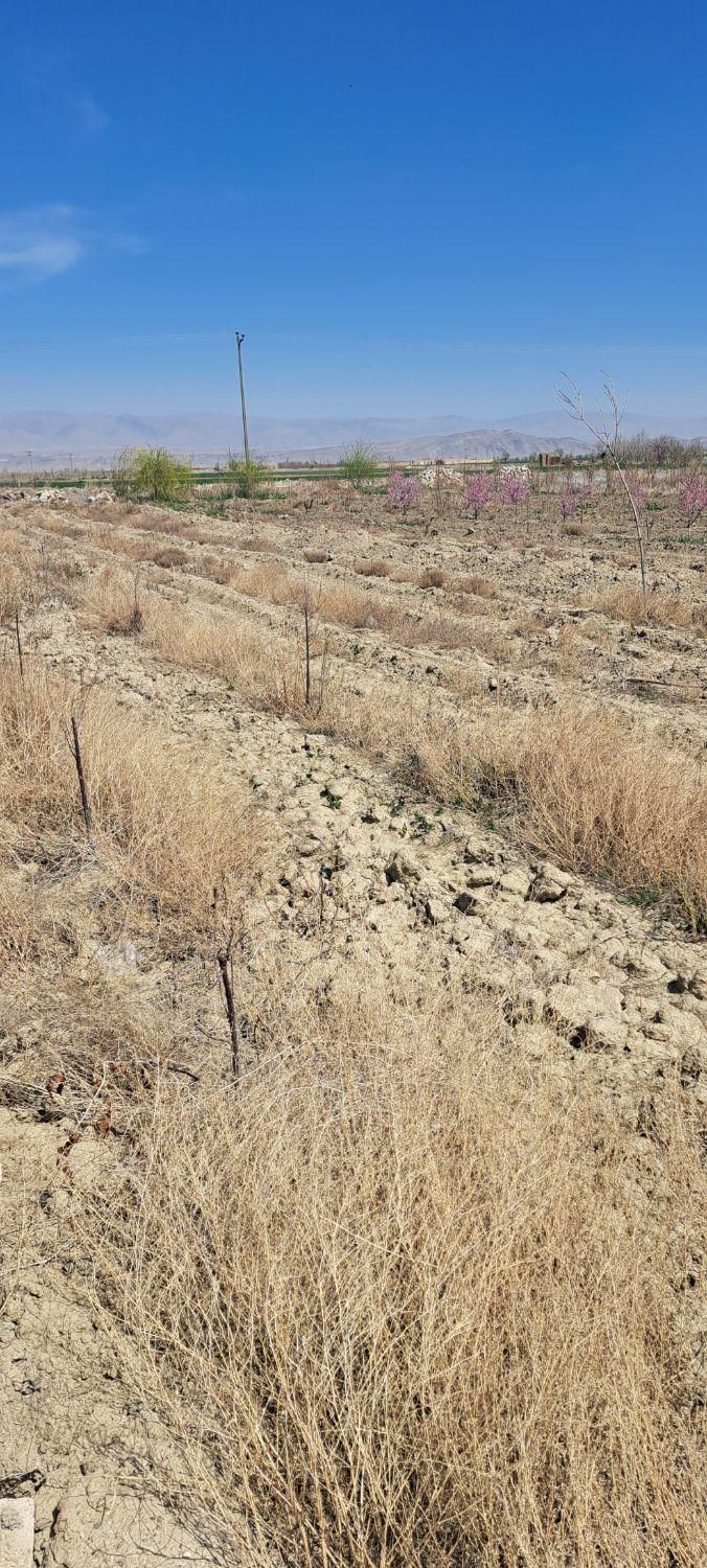 زمین حاشیه جاده/تهاتر /معاوضه|فروش زمین و ملک کلنگی|گلبهار, نوبهار|دیوار