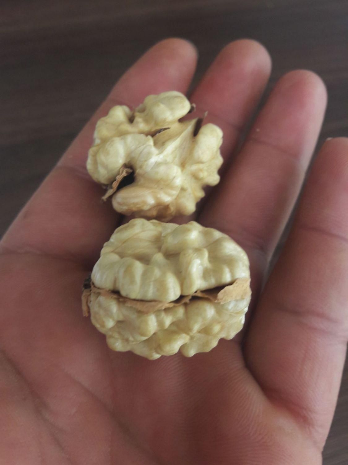 گردو|خوردنی و آشامیدنی|شیروان (خراسان), |دیوار