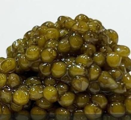 خاویار|خوردنی و آشامیدنی|اسلام‌شهر, |دیوار