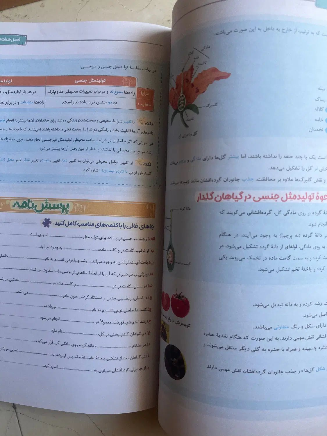 کتاب کار علوم هشتم خیلی سبز|کتاب و مجله آموزشی|اصفهان, سپاهان‌شهر|دیوار