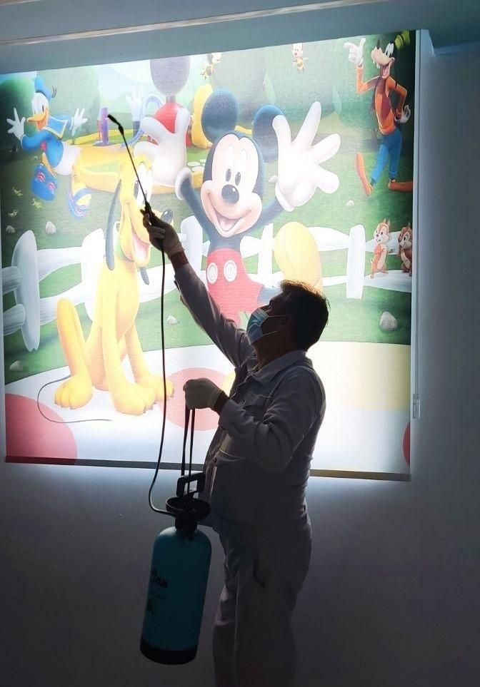 سمپاشی برعلیه حشرات موذی با مجوز وزارت بهداشت|خدمات نظافت|بندرعباس, |دیوار