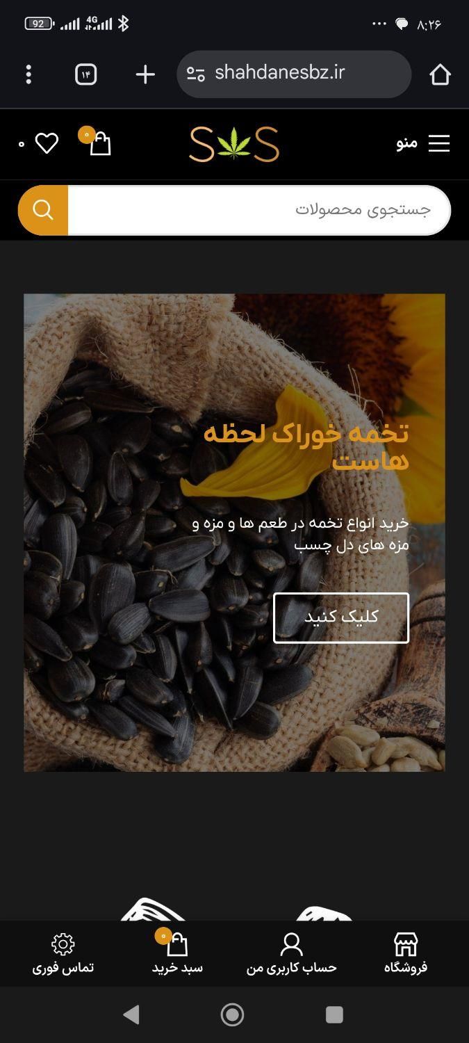 طراحی سایت حرفه ای|خدمات رایانه‌ای و موبایل|نیشابور, شهرک فرهنگیان|دیوار