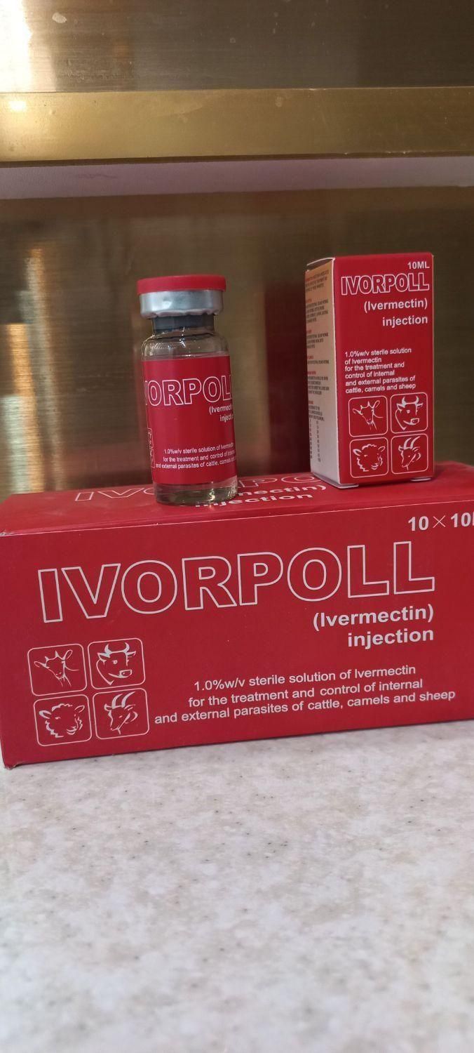 محلول برای از بین بردن شپش ورشک روی سر ضمانتی|آرایشی، بهداشتی، درمانی|زابل, |دیوار