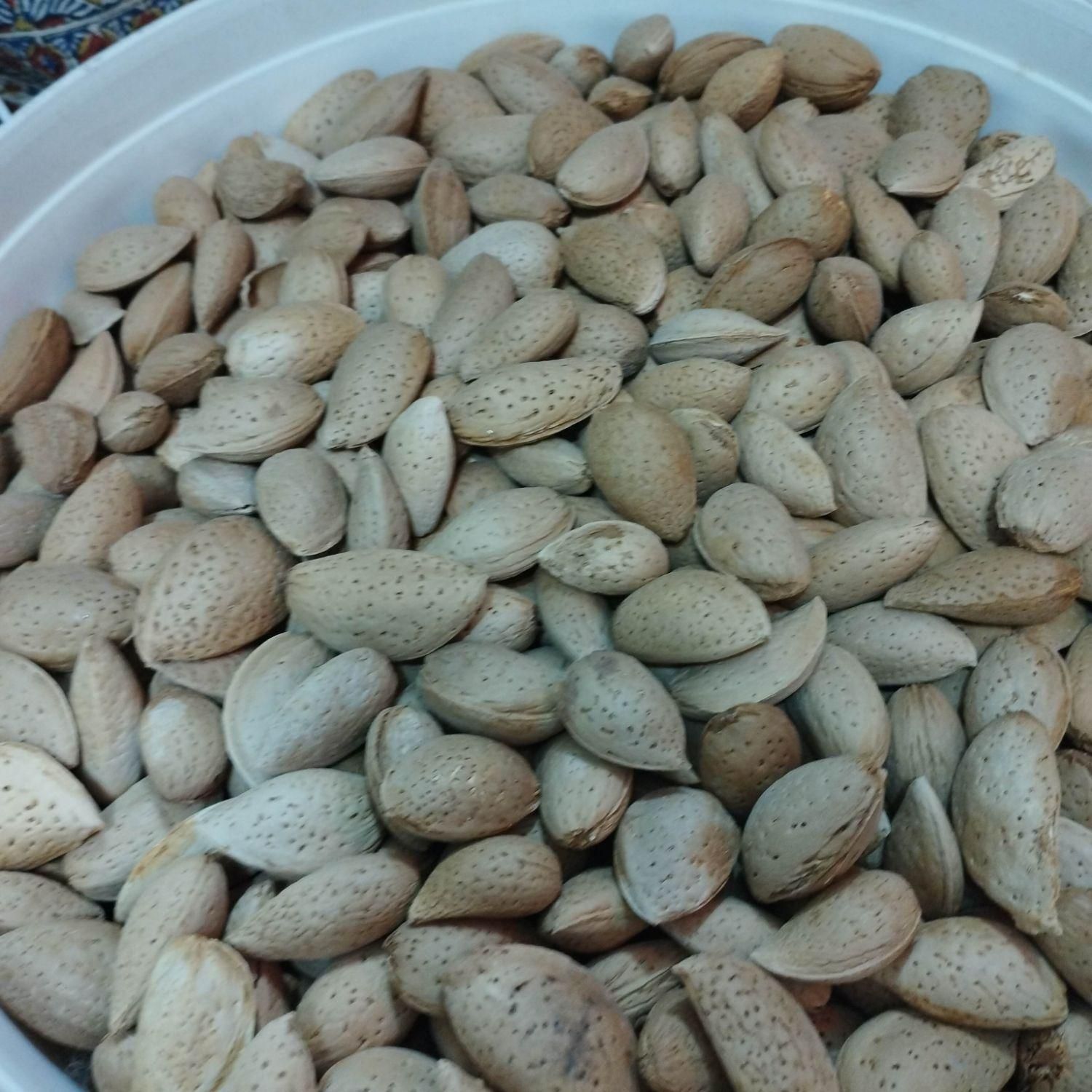 بادام سنگی|خوردنی و آشامیدنی|اصفهان, شیخ اشراق|دیوار