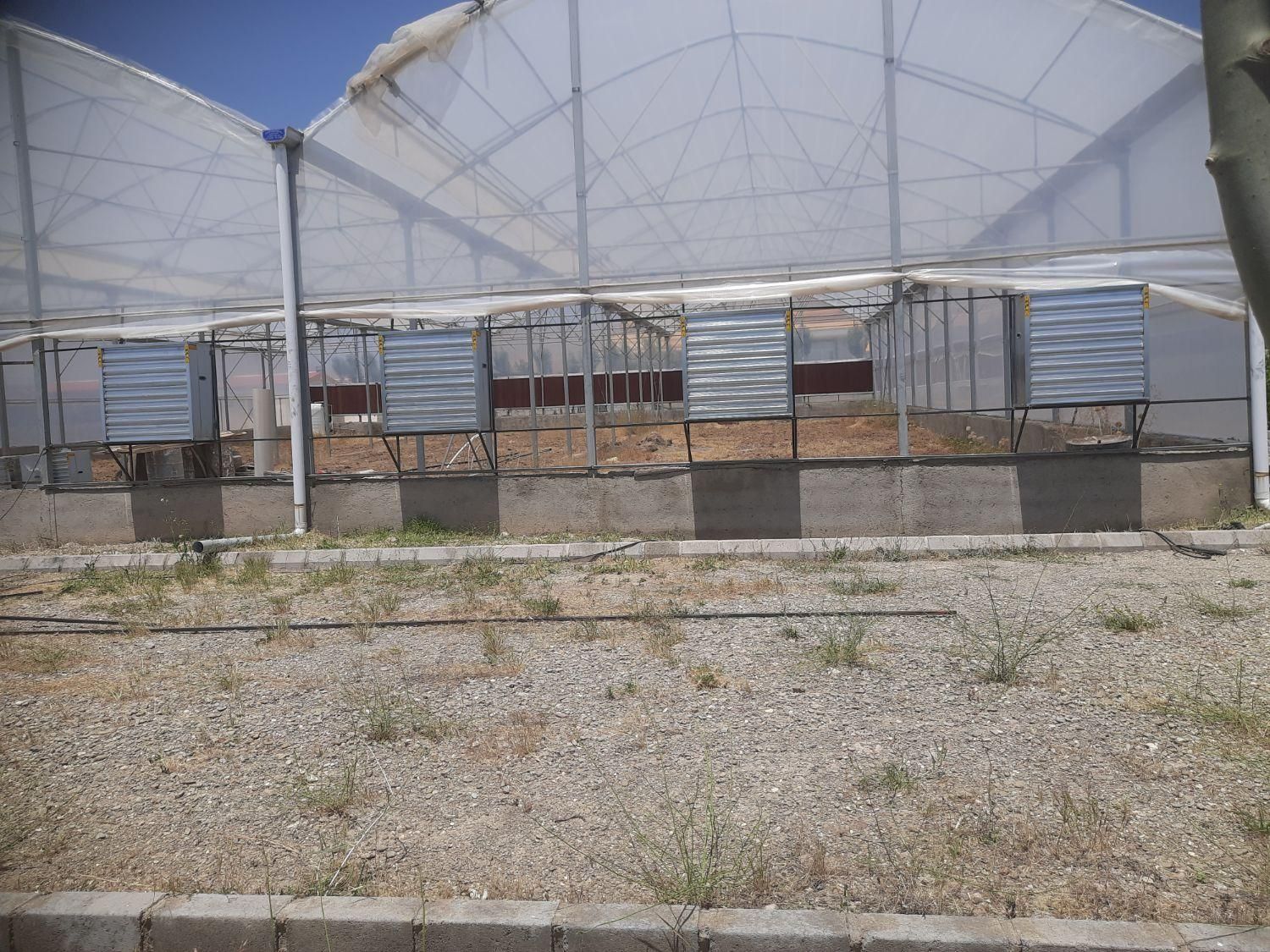 نصب تجهیزات مرغداری و گلخونه و خرید اجناس دست دو|ماشینآلات صنعتی|بستان آباد, |دیوار