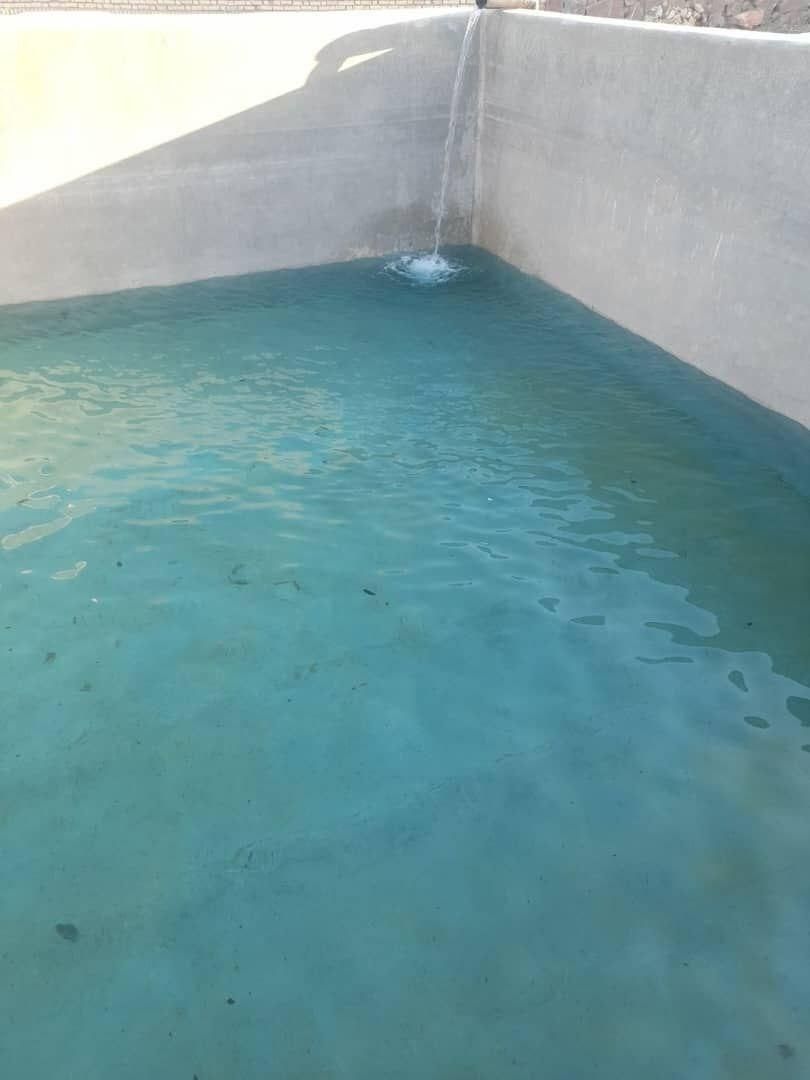 گلخانه هیدروپونیک جاده گلمکان|فروش دفتر صنعتی، کشاورزی، تجاری|مشهد, احمدآباد|دیوار