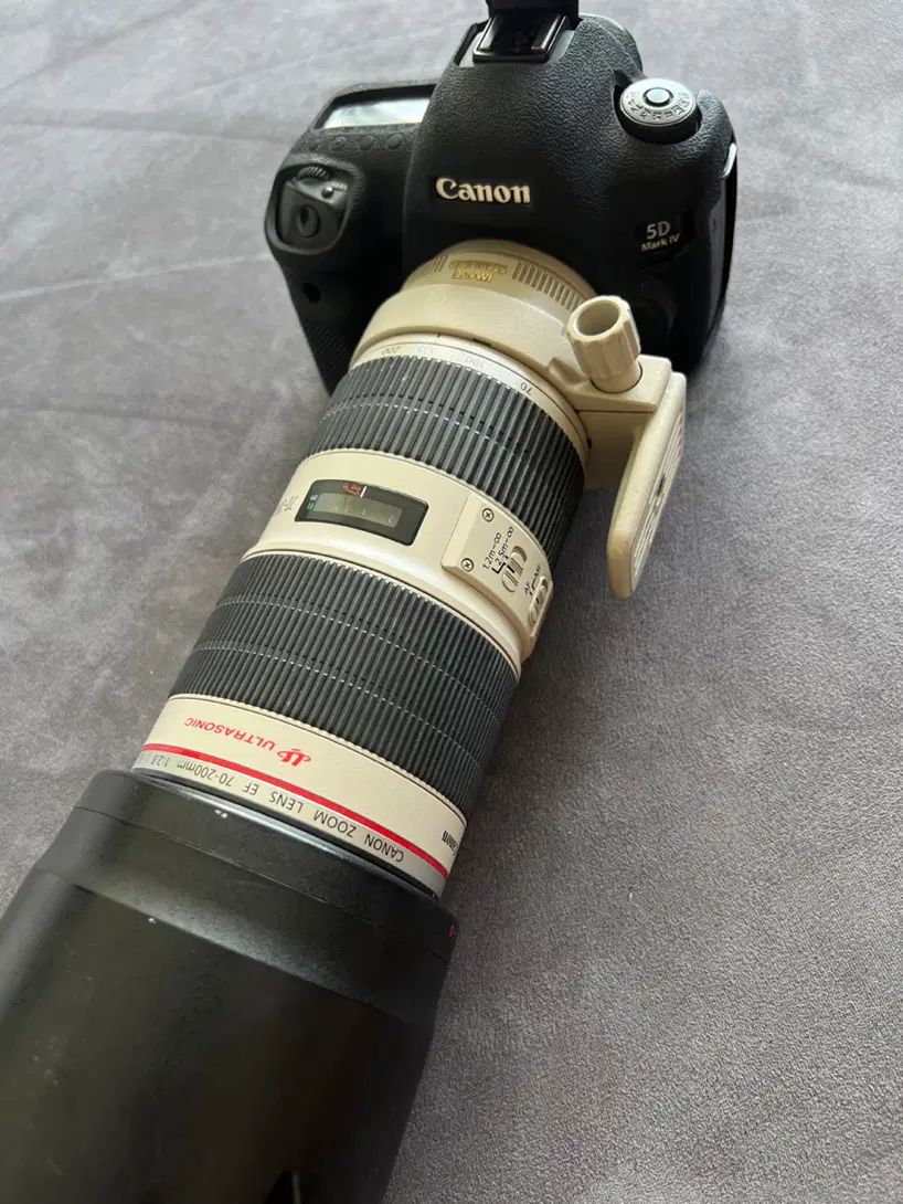 کانن 5Dmark4 Canon EF 70-200mm F2.8L IS III USM|دوربین عکاسی و فیلم‌برداری|رشت, کاکتوس|دیوار