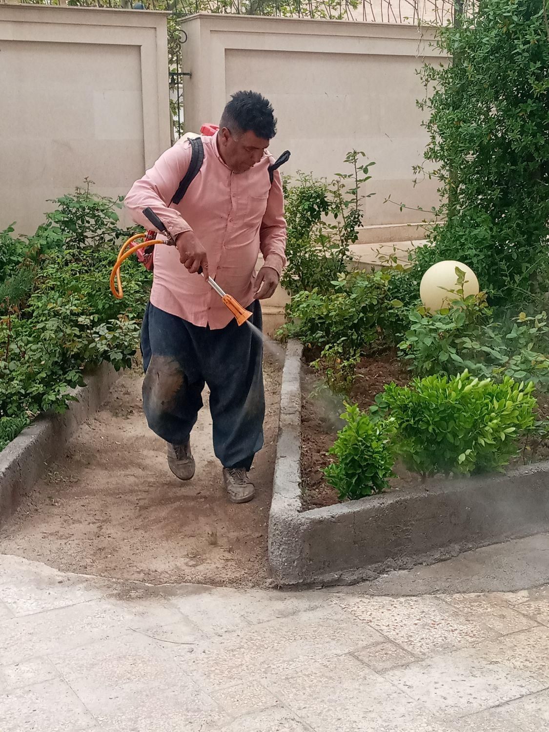 باغبانی سم  پاشی درختان در تمام نقاط شهر|خدمات باغبانی و درختکاری|مشهد, آزادشهر|دیوار