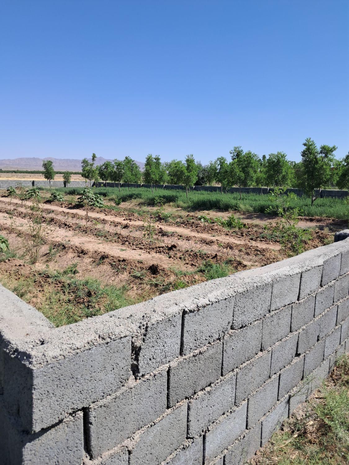 تصویر 6