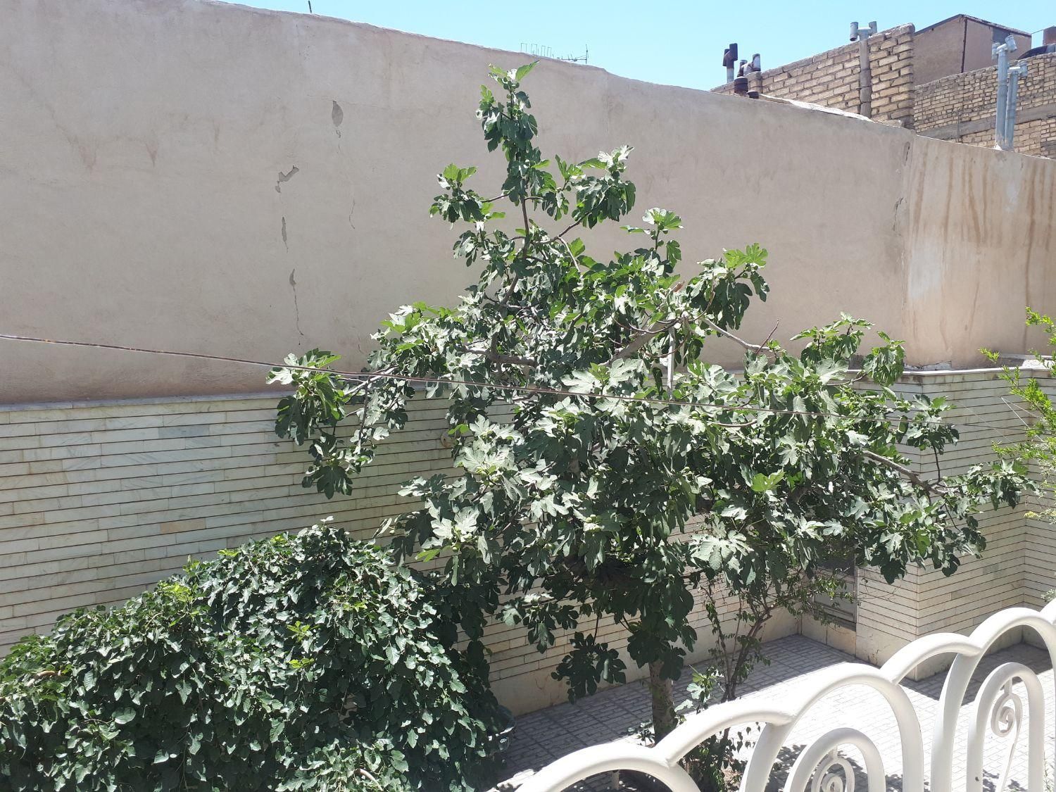 فروش زمین ۵۲۰ متری در خیابان نشاط|فروش زمین و ملک کلنگی|اصفهان, نقش جهان|دیوار