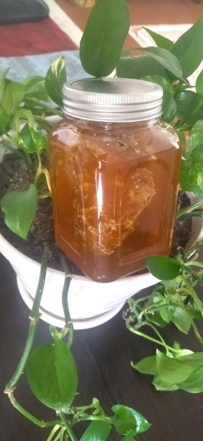 عسل خالص خالص طبیعی|خوردنی و آشامیدنی|تهران, شهرک غرب|دیوار