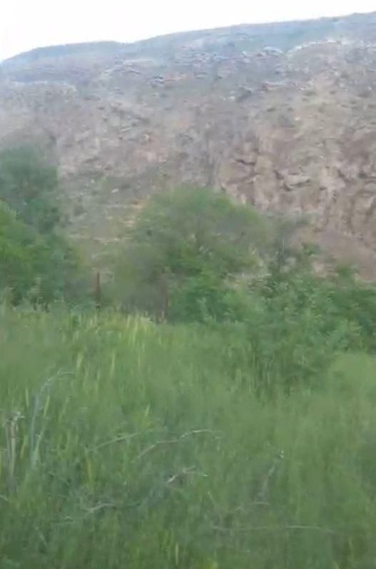 زمین باغی در شهر جیرنده (سند تک برگ)|فروش زمین و ملک کلنگی|جیرنده, |دیوار