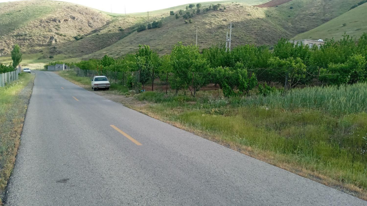 باغ گزنه|فروش زمین و ملک کلنگی|سنندج, |دیوار