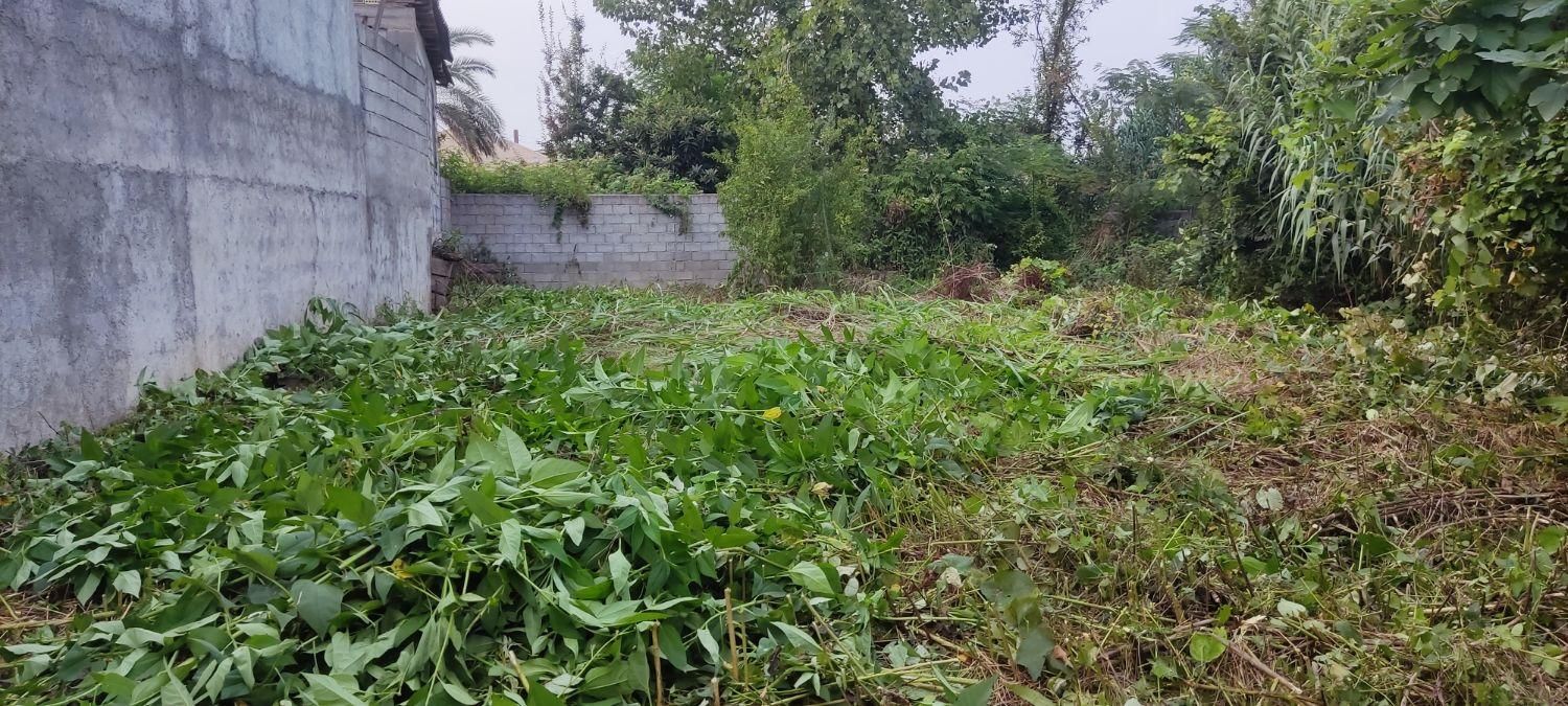 علف زنی،سمپاشی،برش درخت،درختکاری ،خدمات باغبانی|خدمات باغبانی و درختکاری|رودسر, |دیوار