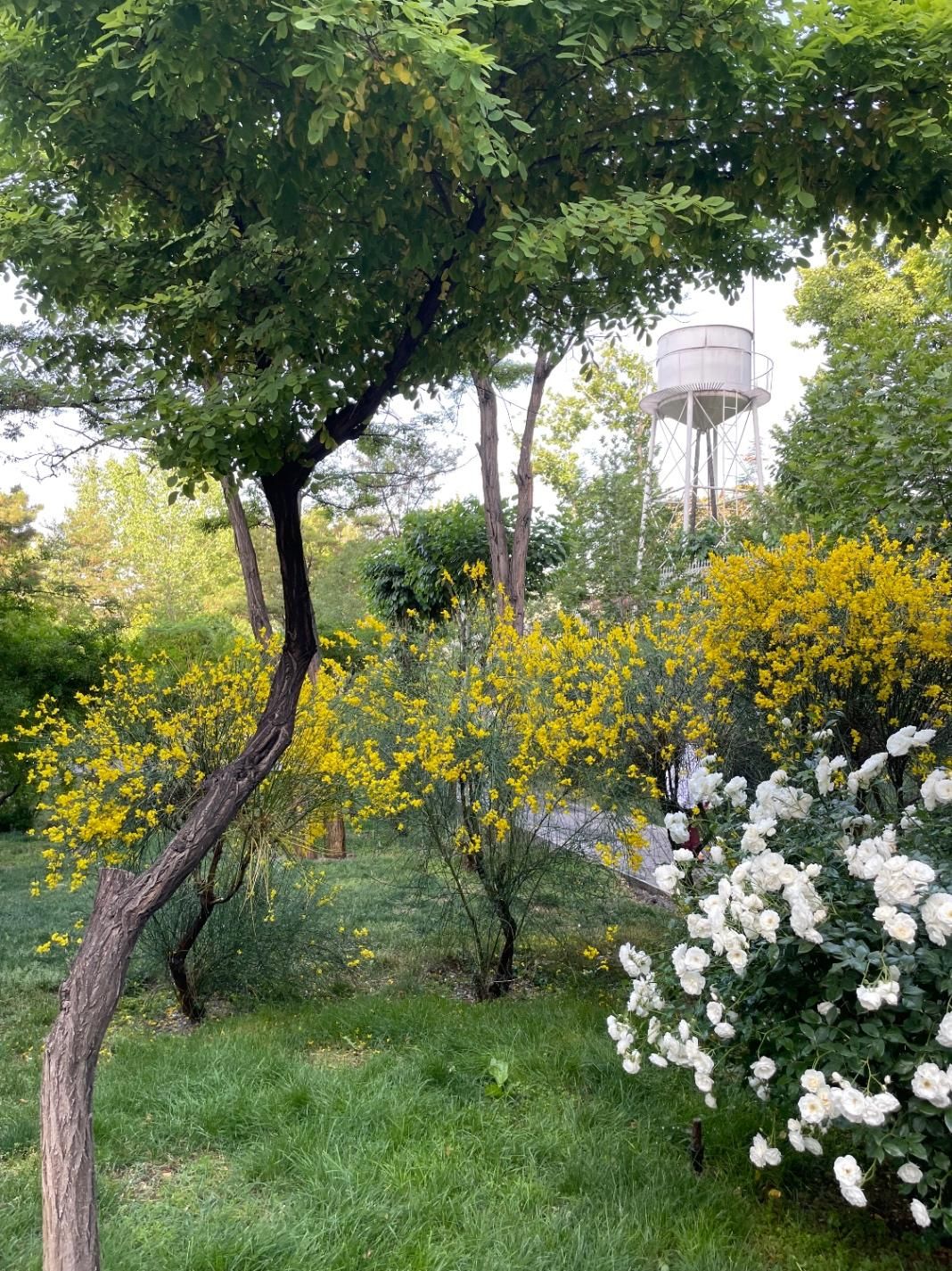ملک کلنگی واقع در خ قزوین|فروش زمین و ملک کلنگی|تهران, امامزاده حسن(ع)|دیوار