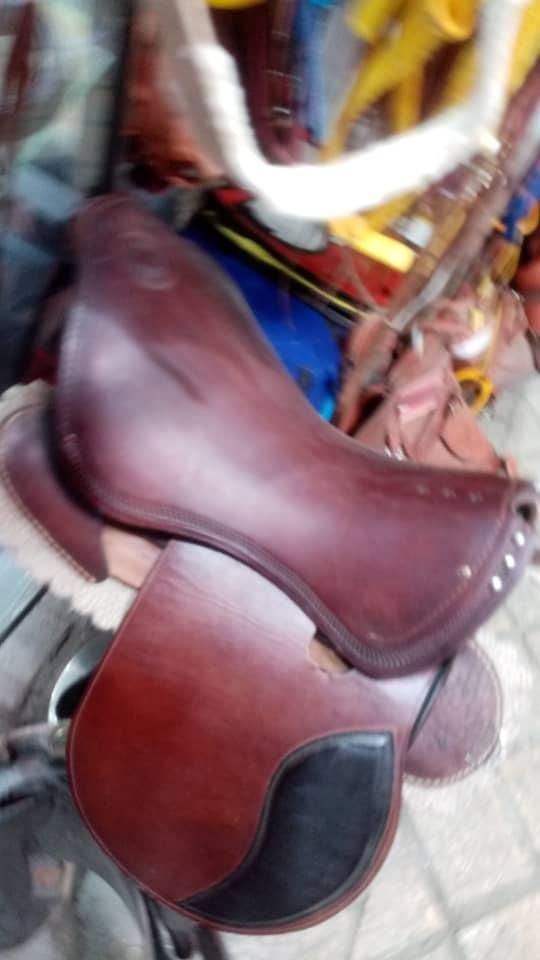 زین چرم طرح برنو|اسب و تجهیزات اسبسواری|کرمانشاه, |دیوار