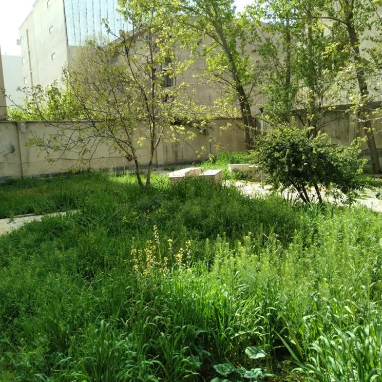 ویلایی ۲۸۰متر. کوی زنبق ۱۵۰متر بنا. ۷۵متر زیر زمین|اجارهٔ خانه و ویلا|کرج, کوی زنبق|دیوار