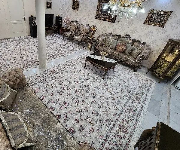 فرش ۹متری ژینادرباری۱۲۰۰شانه تبریزمناسب جهزیه عروس|فرش|تهران, شادآباد|دیوار